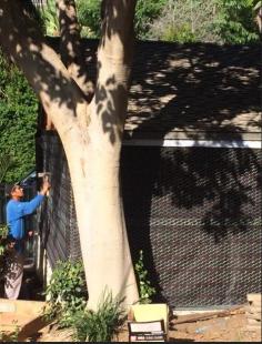 
                    
                        Wire Mesh #Stucco #Construction
                    
                