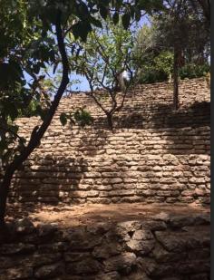 
                    
                        Our garden.. The Castle
                    
                