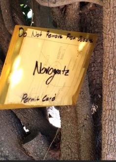 
                        
                            So cool..The pool company hanging their plans in a tree.. #California #Life.. #Pool #Outdoors
                        
                    