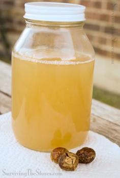 WOAH! You can use soap nuts for so many things!! I had no idea!