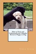 1. Characteristics of A Labrador Retriever As A Hunting and Family Dog 2. Why A Labrador Retriever is a Good Choice for Families 3. What You Should Know About Puppy Teeth 4. How to Crate Train Your Labrador Retriever 5. When Your Labrador Retriever Makes Potty Mistakes 6. Some Items You Should Never Let Your Puppy or Dog Eat 7. How to Stop Your Labrador Retriever From Jumping Up On People 8. When Your Labrador Retriever Has Separation Anxiety, and How to Deal With It 9. Some Helpful Tips for Raising Your Labrador Retriever Puppy 10. When Your Labrador Retriever Is Afraid of Loud Noises 11. How to Build A Whelping Box for a Labrador Retriever or Any Other Breed of Dog 12. Are Rawhide Treats Good for Your Labrador Retriever? 13. How to Stop Your Labrador Retriever From Eating Their Own Stools 14. Why Your Labrador Retriever Needs a Good Soft Bed to Sleep In 15. How to Stop Your Labrador Retriever From Running Away or Bolting Out the Door 16. Some Helpful Tips for Raising Your Labrador Retriever Puppy 17. How to Socialize Your Labrador Retriever Puppy 18. How to Stop Your Labrador Retriever Dog From Excessive Barking 19. When Your Labrador Retriever Has Dog Food or Toy Aggression Tendencies 20. How to Stop Your Labrador Retriever Puppy or Dog From Biting 21. What to Expect Before and During your Dog Having Puppies 22. What the Benefits of Microchipping Your Dog Are to You 23. How Invisible Fencing Typically Works to Train and Protect Your Dog 24. How to Make Sure Your Dog is Eating A Healthy Amount of Food 25. How to Get Something Out of a Puppy or Dog's Belly Without Surgery.