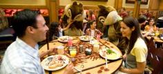 Dining and Restaurants | Disneyland Resort