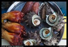 Image result for south korean seafood