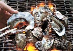 Image result for south korean oysters