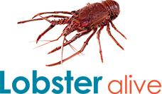 Lobster Alive Gallery